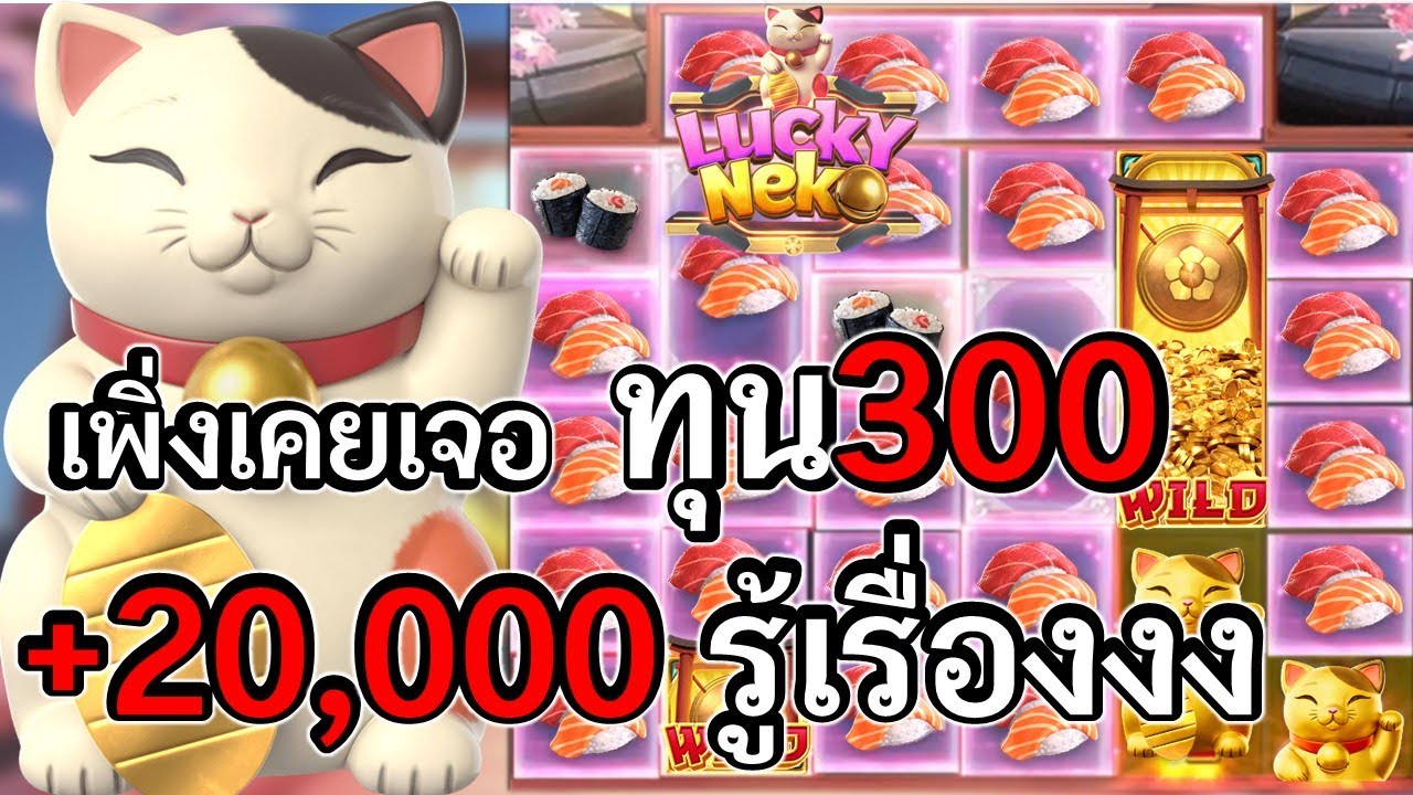 เกม ลัคกี้เนโกะแห่งโชคลาภ เกม ลัคกี้เนโกะแห่งโชคลาภ