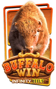 Buffalo Win