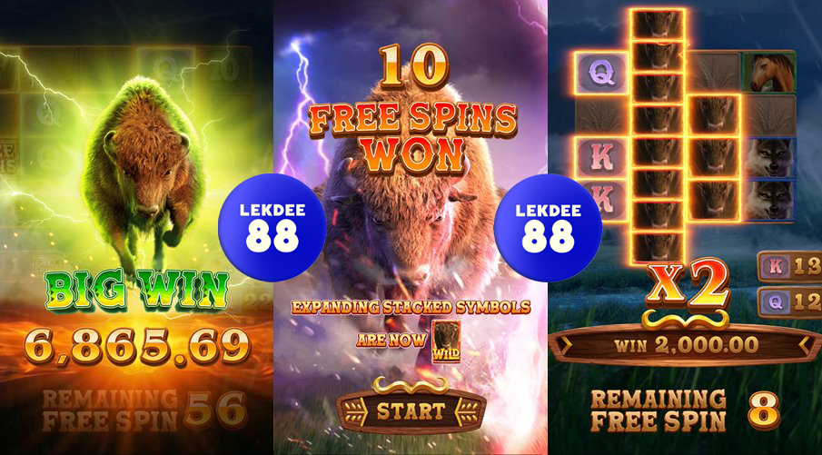 รีวิวสล็อต Buffalo Win เกม กะทิงนำโชค รีวิวสล็อต Buffalo Win เกม กะทิงนำโชค